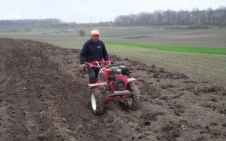 Глубина вспашки под картофель мотоблоком