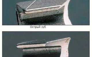 Как правильно поставить цепь на электропилу — натяжка, регулировка
