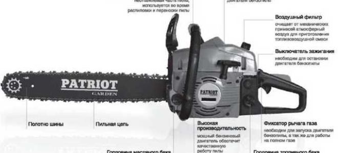 Бензопилы рейтинг цена качество до 6000 рублей