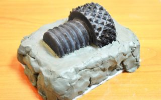 Оборудование для литья пластмассы