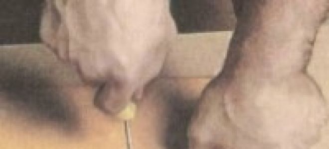 Как выпилить лобзиком отверстие