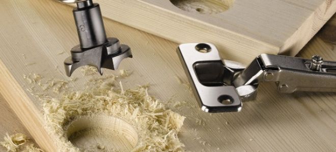 Какая фреза нужна для врезки петель