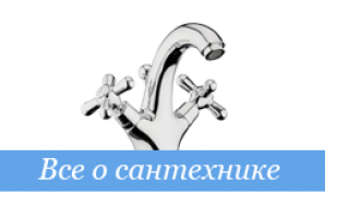 Пихта бальзамическая Нана: описание, посадка и уход