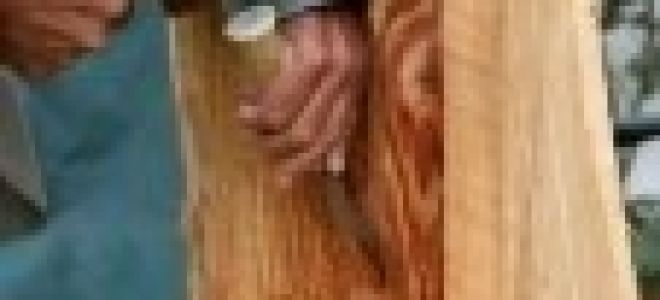 Стамеска для резьбы по дереву: виды, правила работы, заточка