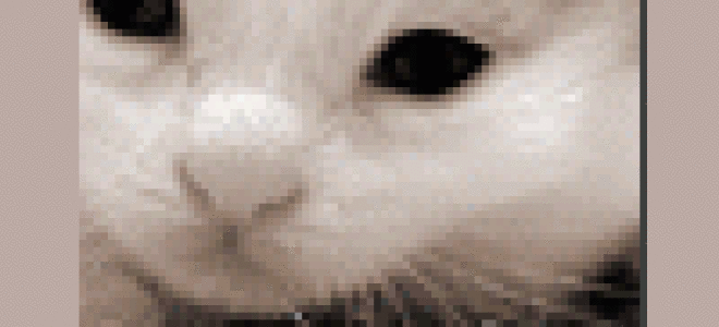 Как открутить болты не повредив краску