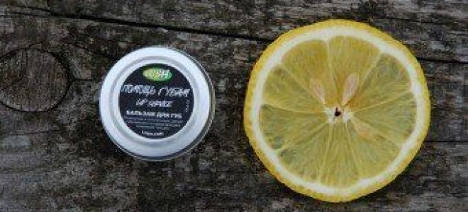 Можно ли растворителем обезжирить поверхность